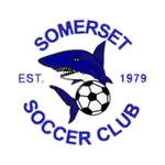 Somerset logo