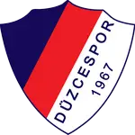 Düzce Spor Kulübü logo