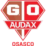 Grêmio Osasco Audax EC logo