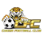 Cooma Tigers logo