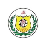 Shabab Khaleel logo