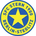 Stern logo