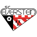 Everstein logo