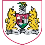 Bristol City FC Under 18 Academy logo