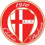 Padova Under 19 logo