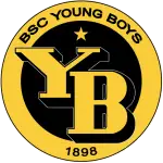 Young Boys logo