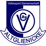 VSG Altglienicke logo