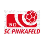 SC Pinkafeld logo