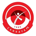 Çankaya Futbol Kulübü logo
