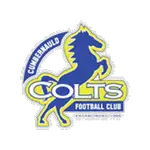 Cumbernauld Colts FC logo