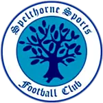 Spelthorne Sports FC logo