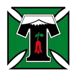 Deportes Temuco logo