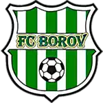 TJ Družstevník Borov logo