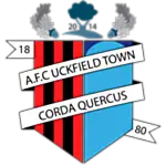 Uckfield Town logo