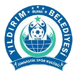 Bursa Yıldırım logo