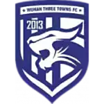 Wuhan Three Towns logo