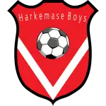 vv Harkemase Boys logo