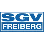 Freiberg logo