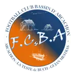 Bassin logo