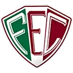 Fluminense EC logo