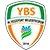 Yeşilyurt BS logo
