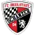 Ingolstadt logo