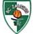 Kauno Žalgiris logo