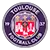 Toulouse logo