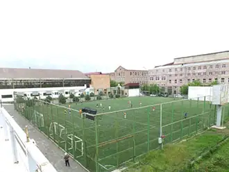 Mika Artificial Field