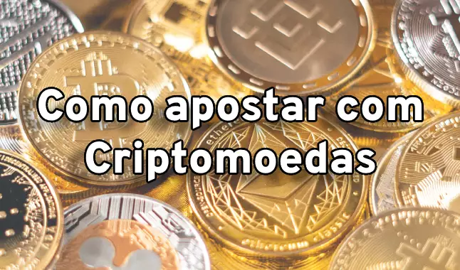 Wild Coins Cripto: como apostar?