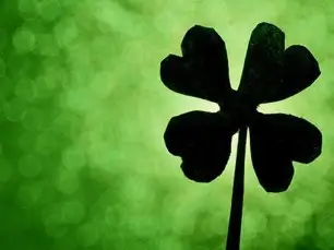 Sorte e Azar existem nas Apostas Esportivas?