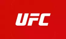Guia completo de apostas UFC: O que é, mercados e melhores sites para apostar