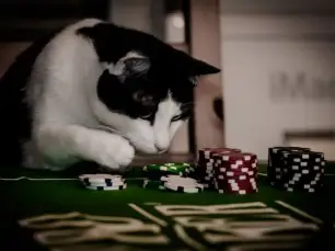 Aprenda à lidar com "Bad Beats" no Pôquer