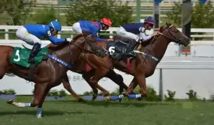 Bet365 apresenta acordo para novos conteúdos de Turfe