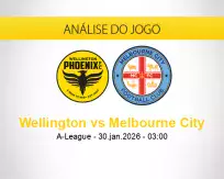 Prognóstico Wellington Melbourne City (30 janeiro 2026)