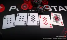 Bruno Medalha é campeão do Evento #108 - High da Bounty Builder Series