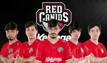 CBLoL 2022: RED Canids encerra primeira semana invicta