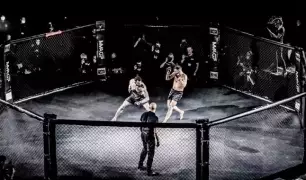 Como analisar apostas pré em MMA