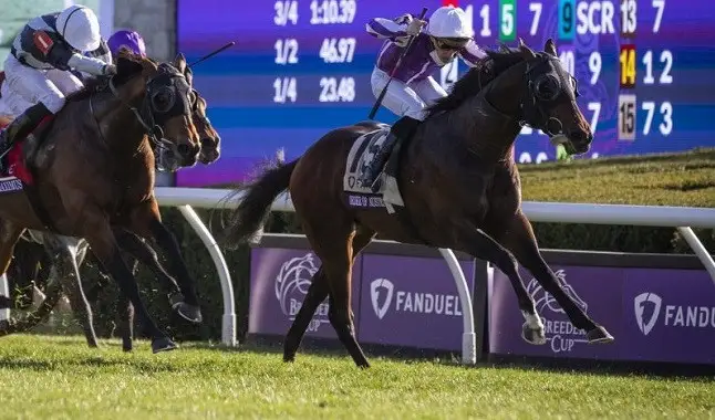 FanDuel apresenta novo patrocínio com Kentucky Downs