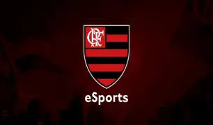 Flamengo autoriza time competitivo no Free Fire