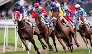 Isenção de taxas em corridas de cavalos