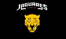 Jaguares Esports encerra operações