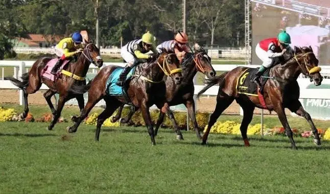 Jockey Club Brasileiro auxiliará profissionais da área do turfe