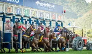 Jockey Club Brasileiro revela novidades