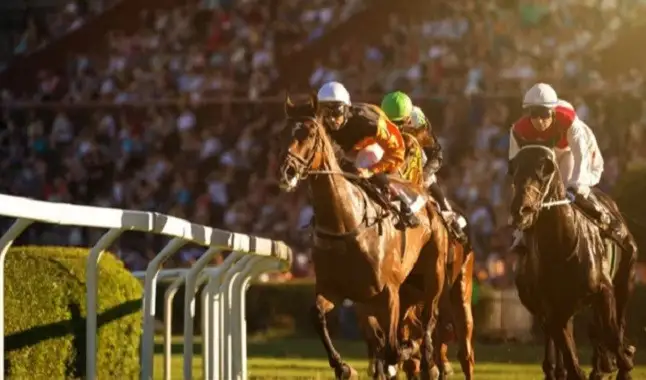 Novas regras são anunciadas para fortalecer corridas de cavalos e sindicatos