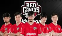 Trajetória da RED Canids