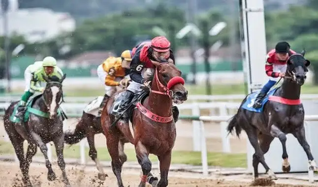 Turfe escocês anuncia retorno das corridas