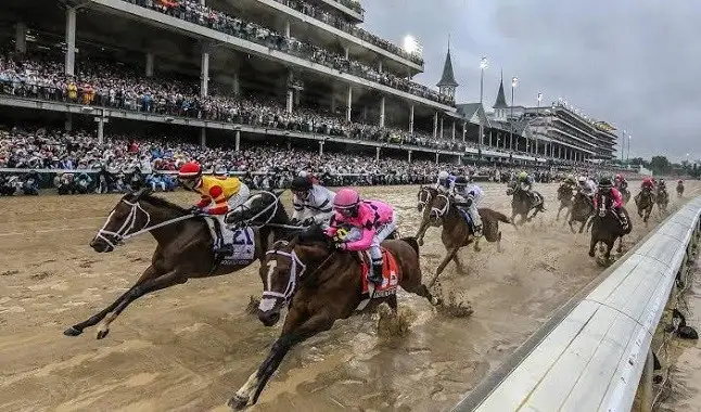 Turfe: Kentucky Derby teve milhões de espectadores